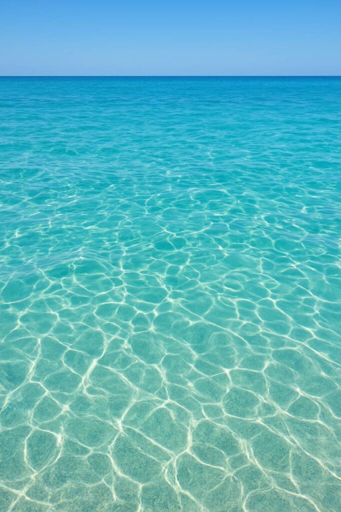 ChatGPT Image Dec 12, 2025, 04 50 41 PM