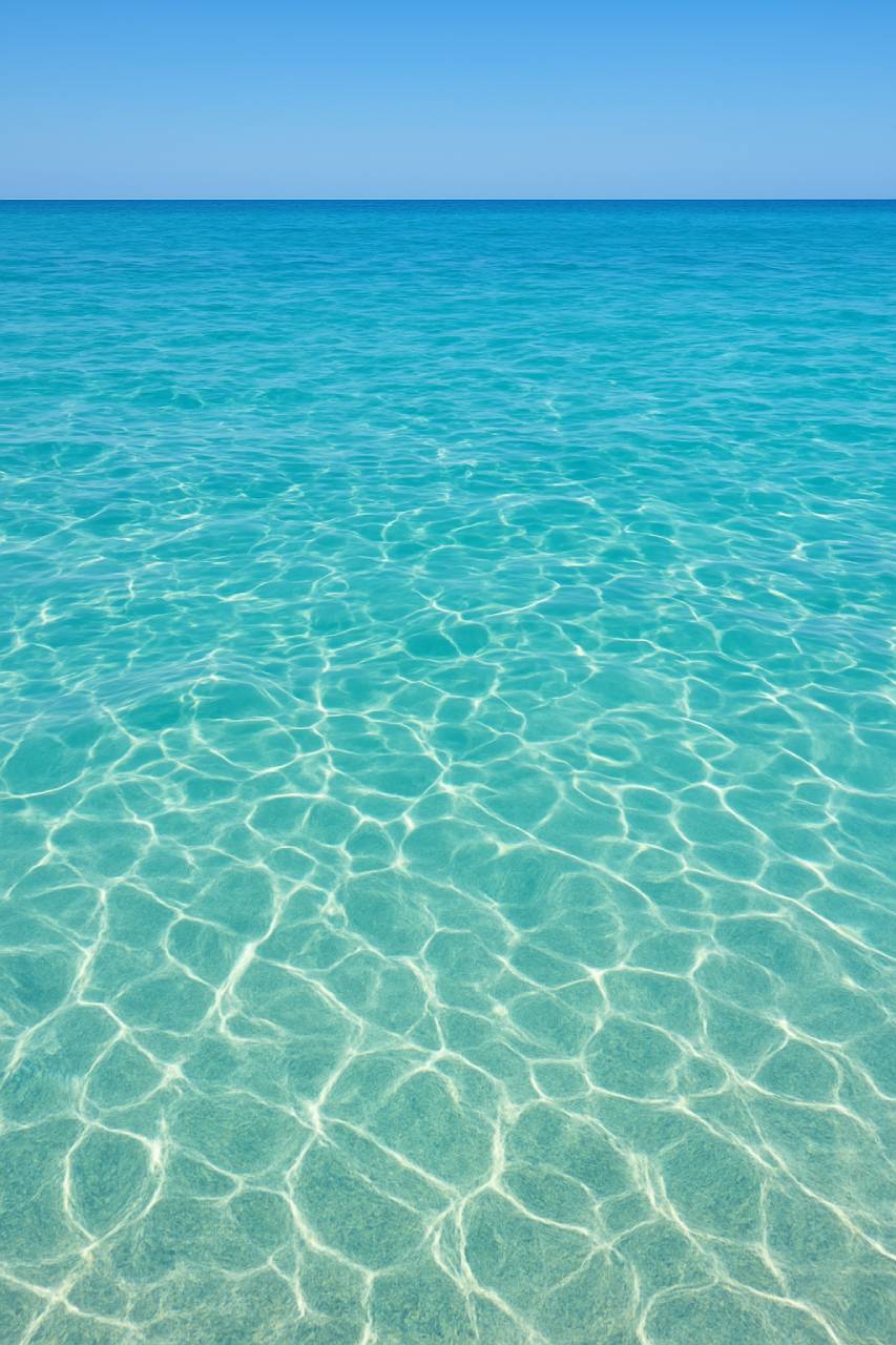 ChatGPT Image Dec 12, 2025, 04 50 41 PM