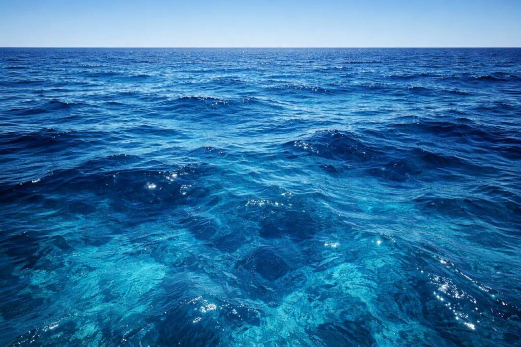 clean sea